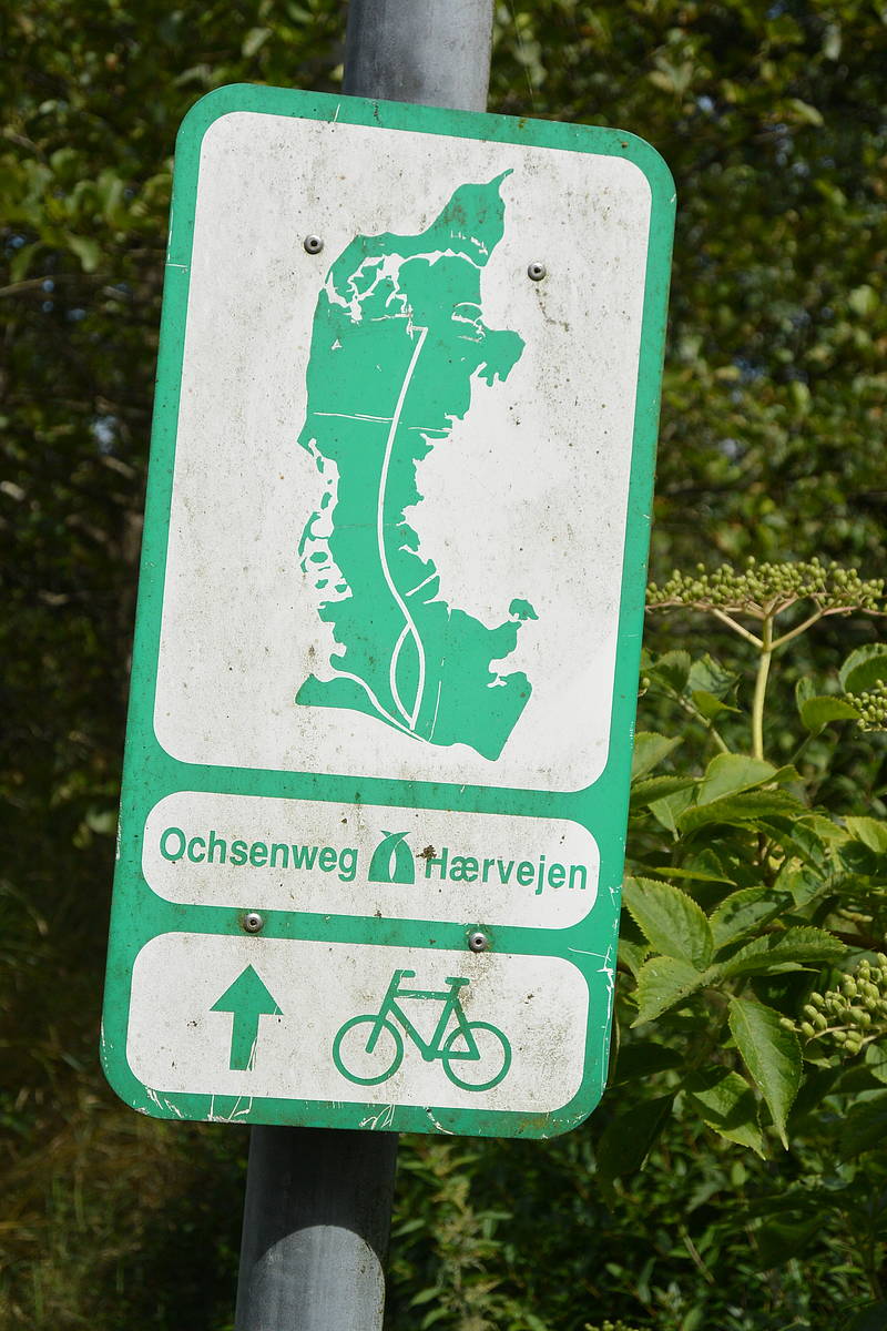 Ochsenweg or Hæervejen